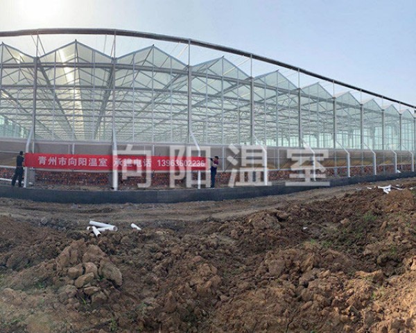 濟(jì)寧微山縣文洛溫室