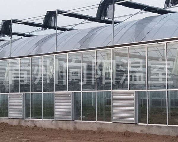 連棟薄膜溫室