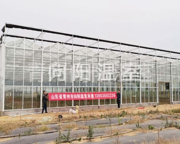 臨沭連棟溫室及玻璃溫室二期