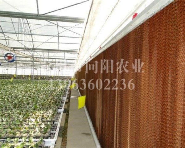 風(fēng)機濕簾系統(tǒng)