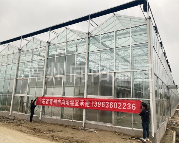江蘇泰州車(chē)?yán)遄臃N植玻璃溫室