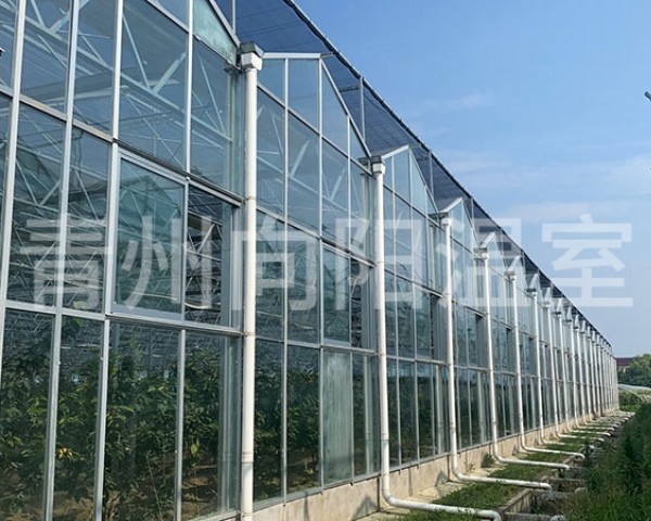 玻璃溫室