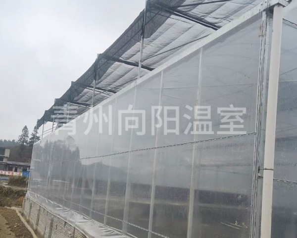 連棟薄膜溫室