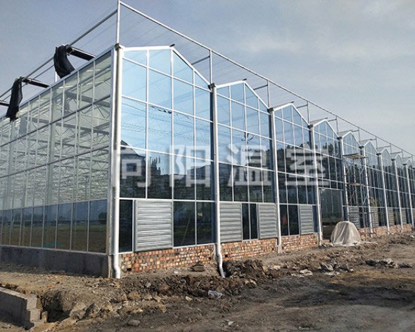 濟(jì)寧微山縣文洛溫室