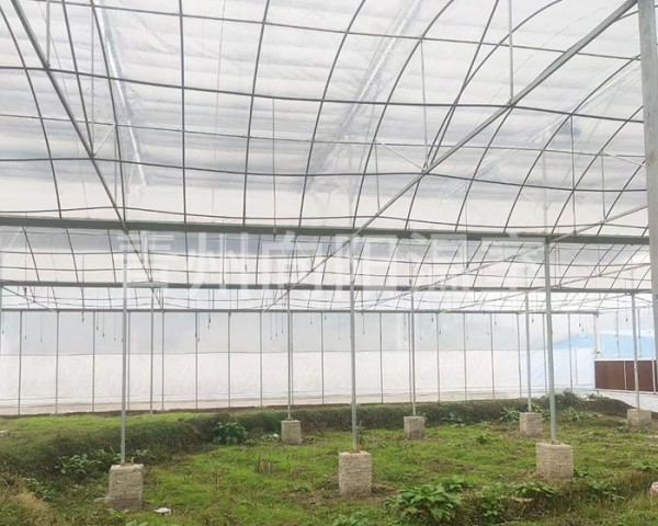 連棟薄膜溫室