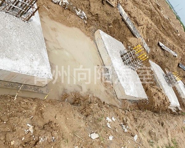 溫室土建項(xiàng)目案例