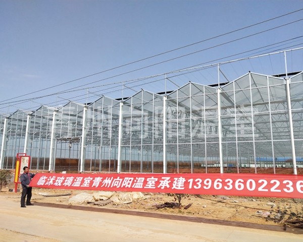 臨沭連棟溫室及玻璃溫室二期