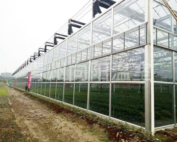 蔬菜大棚